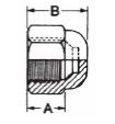 45° Flare Fittings - Flare Seal Cap-Dimensions